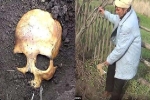 Đào được hộp sọ khi đang làm vườn, người nông dân Nga sợ mất mật khi vợ bảo 'Chồng cũ em đấy, chôn lại đi anh'