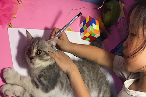 Góc sáng tạo: Được cô giáo giao bài tập vẽ con mèo, bé gái bê luôn boss nhà ra 'photo' cho nhanh