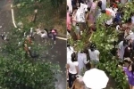 Thầy giáo bị cây đè, hàng chục nữ sinh đội mưa ứng cứu