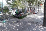 Giấc ngủ nhọc nhằn dưới tán cây, gầm cầu của người lao động trong đợt nắng nóng đỉnh điểm ở Thủ đô