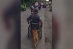Chó cần mẫn đẩy xe lăn cho cậu chủ khuyết tật khiến dân mạng cảm động