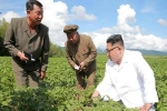 Kim Jong-un có thể ở trang trại khoai khi Ngoại trưởng Mỹ đến thăm