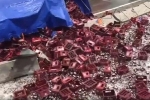 Thanh Hóa: Xe đầu kéo chở bia gặp nạn, hàng nghìn chai bia rơi vãi kín mặt đường