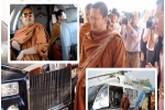Vị sư Thái Lan trước khi bị kết án 114 năm tù ăn chơi khét tiếng cỡ nào?