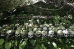 Tục phơi thây người chết đã kết hôn trong lồng tre trên đảo Bali