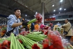 Chợ hoa lớn nhất châu Á của Trung Quốc xuất khẩu tới 50 nước
