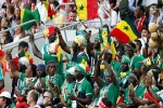 Rực rỡ sắc màu của các CĐV Senegal