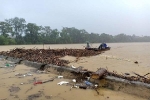 Hà Tĩnh: Bất chấp nước lũ nguy hiểm, người dân vẫn trục vớt củi