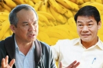 Thaco chính thức đưa người vào 'ghế nóng' HAGL Agrico