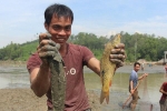 Người dân Quảng Nam tháo đập nước bắt cá