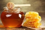 Nhà ai cũng có lọ mật ong nhưng ít người biết tận dụng hết 15 lợi ích tuyệt vời