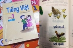 Sách tiếng Việt cho trẻ lớp 1 có nhiều vấn đề sai lệch, phản cảm và sự phản biện của người trong cuộc