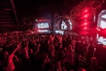 Toàn bộ 7 người chết trong lễ hội âm nhạc ở CV nước Hồ Tây đều dương tính với ma túy