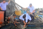 Giải cứu 12 con rùa xanh quý hiếm ở Phú Quốc