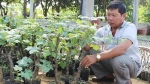 Ninh Thuận: Tỷ phú nho giống và ước mơ làm nông nghiệp sạch
