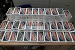 Hơn 250 iPhone XS Max giấu trong hành lý từ Mỹ về Sài Gòn