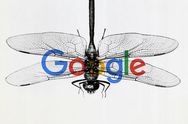 Dragonfly gây náo loạn nội bộ Google. Ảnh: Liststories.