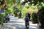 Đà Nẵng: 18 người nước ngoài dương tính với ma túy tại quán 'Mèo Điên'