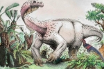 Phát hiện khủng long 12 tấn từng là loài vật lớn nhất trên cạn