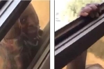 Kuwait: Bà chủ nhà đi tù mọt gông vì đã không cứu giúp còn quay phim lại cảnh người giúp việc ngã từ tầng 7 xuống