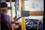 Xem xét sa thải tài xế chơi smartphone khi lái xe buýt