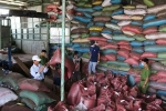 7 ngân hàng 'sập bẫy' hàng nghìn tấn cà phê rác của nam giám đốc ở Sài Gòn