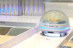 Mẫu robot thay thế nhân viên bồi bàn tại nhà hàng Trung Quốc