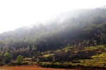 Hà Nội thanh tra việc sử dụng đất rừng tại Sóc Sơn
