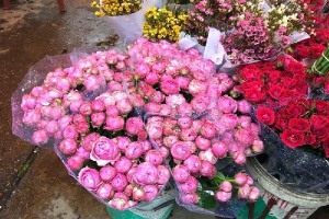 30 phút bán ngàn bông hồng: Giá tăng gấp 3, vì tình yêu không tiếc
