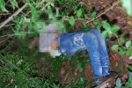 Bé gái 12 tuổi bị sát hại trong bụi cây, hung thủ được bố bao che đã sa lưới sau 8 năm trốn thoát