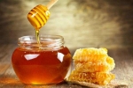 4 cách trị nám bằng mật ong