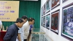Trưng bày 500 tư liệu, cổ vật thời Đông Sơn và các triều đại Việt Nam