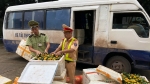Nhập lậu gần 1,4 tấn hoa quả Trung Quốc để bán kiếm lời