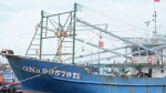 Quảng Nam cho ngư dân vay 730 tỷ đồng đóng tàu lớn vươn khơi bám biển