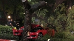 Xe Mercedes bị 'chẻ đôi đầu' vì mất lái đâm vào gốc cây