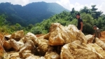 Chính quyền vào cuộc vụ phá rừng phòng hộ khai thác đá quý