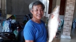 Hà Tĩnh: Ngư dân dùng thuyền thúng đánh bắt được con cá sủ vàng