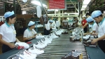 Nhiều khó khăn cản trở tăng trưởng của ngành da giày