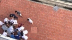 Hà Nội: Nam bệnh nhân rơi từ tầng 6 tòa nhà bệnh viện xuống đất tử vong