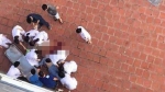 Hà Nội: Nam bệnh nhân tử vong sau khi nhảy từ lầu 6 bệnh viện xuống đất