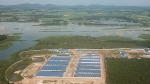 Kiểm tra trại heo xây đầu nguồn nước ở Đồng Nai