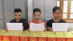 Nghệ An: Liên tiếp bắt hai vụ buôn bán pháo nổ
