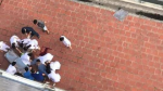 Hà Nội: Bệnh nhân nhảy từ tầng 6 xuống đất tử vong tại chỗ