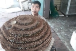 Dậy sóng mạng xã hội: Chàng trai Nghệ An khoe tổ ong khủng 35 kg của loài ong có độc tố cực mạnh