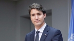 Canada thông qua dự luật kích hoạt Hiệp định CPTPP