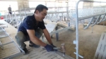 Tháo dỡ trang trại chăn nuôi xây dựng trái phép ở Đồng Nai