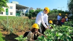 Những nỗ lực bảo vệ môi trường tại Ajinomoto Việt Nam