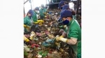 Sớm khắc phục tình trạng ô nhiễm môi trường từ bãi rác ở TP Cà Mau