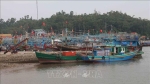 Các tỉnh, thành phố ven biển từ Quảng Ninh đến Khánh Hòa chủ động ứng phó với siêu bão gần Biển Đông