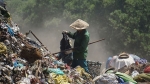 Đà Nẵng 'nói không' với túi nilon để bảo vệ môi trường
